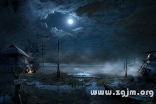 梦见世界末日即将来临：我昨夜梦见世界末日将至，四面八方皆是灰烬，天空暗沉，日月无光。醒来时，窗外阳光明媚，鸟雀啁啾，仿佛昨夜的梦不过是心头一惊，转瞬即逝