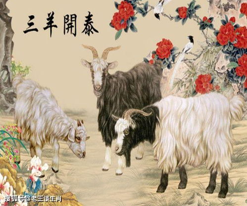 属羊人一生的命运如何：属羊人一生命运解析，性格特质与运势趋势全揭秘