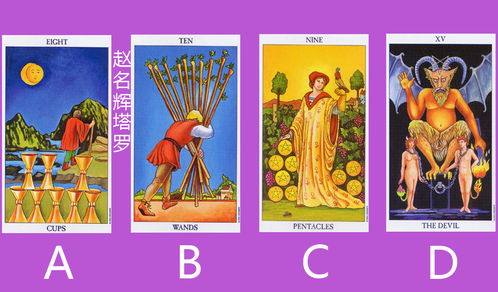 塔罗牌1001塔罗牌：塔罗牌，神秘宇宙的1001种解读
