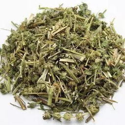 来月经量少可以喝益母草吗:月经量少,益母草能喝吗?中医这样说,你需要知道这些!