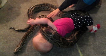 已婚女人梦见蛇缠身：已婚女性梦见蛇缠身，潜藏的警示与自我觉醒之路