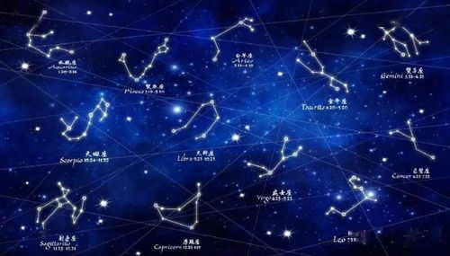 最配的十二星座配对：十二星座黄金搭档，哪对组合能实现灵魂共振？占星师揭秘终极CP法则