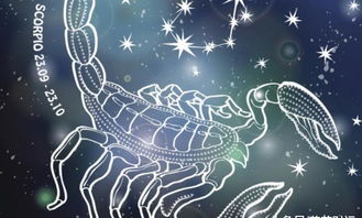 最配的十二星座配对：十二星座黄金搭档，哪对组合能实现灵魂共振？占星师揭秘终极CP法则