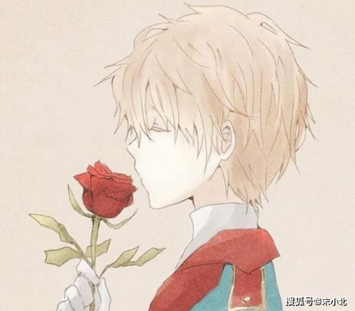 婚姻最好的上升星座：婚姻最佳配对，上升星座如何成就幸福伴侣关系