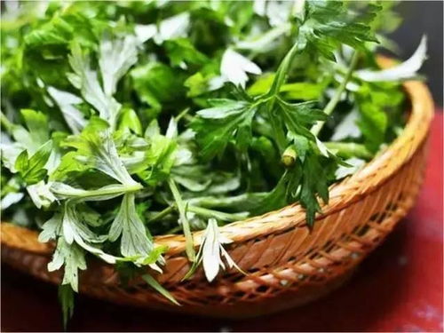 艾叶煮水治妇科炎症的方法：艾叶煮水治妇科炎症的家庭疗法，方法、功效与注意事项