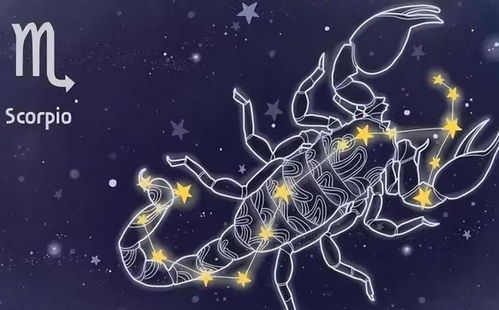 射手座今日运势查询美国神婆网：射手座今日运势查询指南，美国神婆网带来精准星座运势解析！