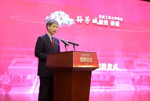 重庆工商大学融智学院（重庆工商大学融智学院是民办还是公办）