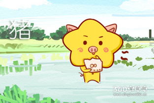 2019年属什么年：2019年属什么年？生肖猪的运势密码与传统文化解读