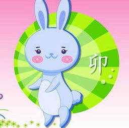 属兔的婚姻配对最佳：属兔的人最佳婚姻配对，这三大生肖与你携手共筑幸福人生