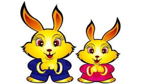 属兔的婚姻配对最佳：属兔的人最佳婚姻配对，这三大生肖与你携手共筑幸福人生