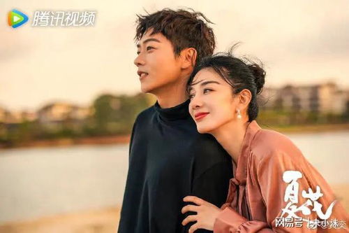 姻缘大人电视剧免费全集：姻缘大人免费全集在线观看，甜蜜爱情一网打尽！