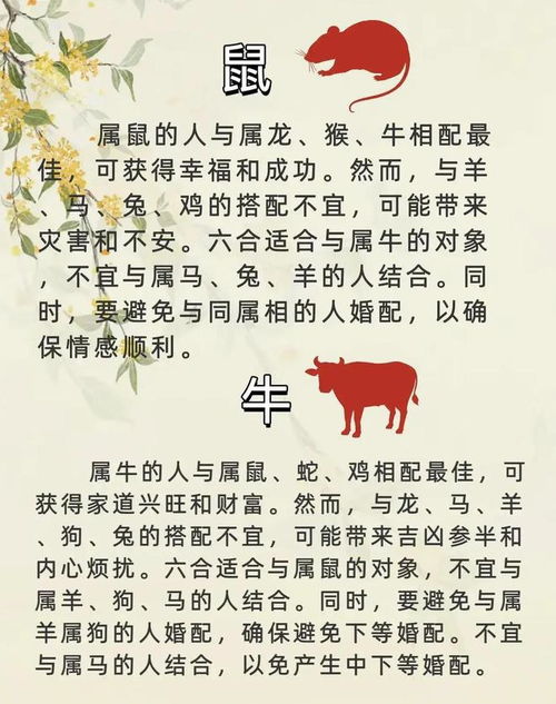 婚配属相表：婚配属相表，传统生肖配对指南与现代婚恋观的融合解析