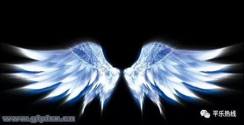 姻缘长着翅膀的的大灰狼:当姻缘披上狼爪,飞向未知的天空 姻缘长着翅膀的的大灰狼:当姻缘披上狼爪,飞向未知的天空