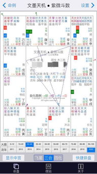 紫微星盘查询分析:紫微星盘查询分析,解码命理密码与人生轨迹的时空罗盘 紫微星盘查询分析:紫微星盘查询分析,解码命理密码与人生轨迹的时空罗盘