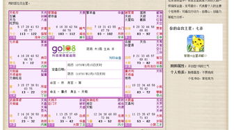 紫微星盘查询分析:紫微星盘查询分析,解码命理密码与人生轨迹的时空罗盘