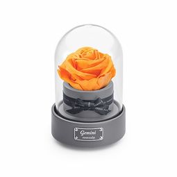 双子座女生喜欢什么礼物:双子座女生礼物指南,5种创意好物激发她的好奇心与活力 双子座女生喜欢什么礼物:双子座女生礼物指南,5种创意好物激发她的好奇心与活力