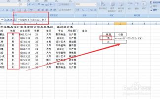 countif函数的作用：countif函数的作用，高效统计与数据分析的利器