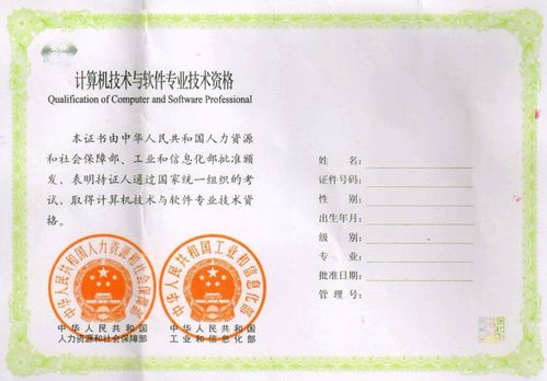 计算机技术与软件专业技术资格：权威认证，职业发展新助力，计算机技术与软件专业技术资格考试全解析