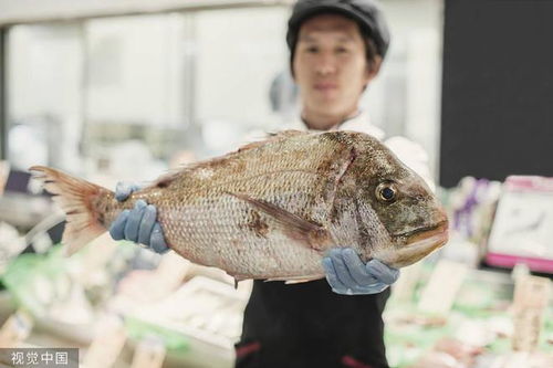 梦见抓到鱼的吉凶：梦里抓到鱼，醒来后你得注意这些！