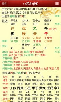 八字排盘十神查询:精准识人,八字排盘十神查询的奥秘与应用