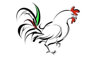 属鸡3合3不合:属鸡人的三合三冲,揭秘命理中的吉凶关系与化解之道