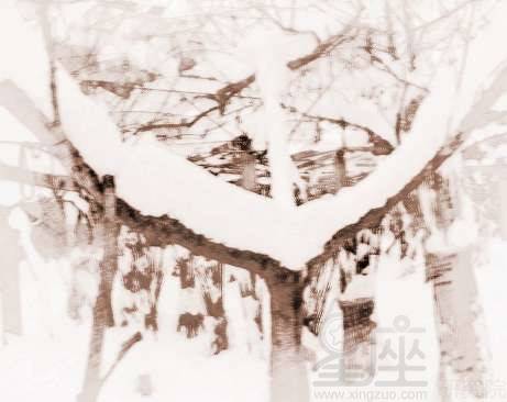 梦见下雪预示什么：梦里下雪，预示着什么？