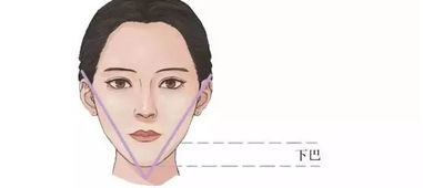 脸上肉多怎么瘦脸:脸大困扰?这些科学方法帮你瘦脸V脸,重塑精致小脸! 脸上肉多怎么瘦脸:脸大困扰?这些科学方法帮你瘦脸V脸,重塑精致小脸!