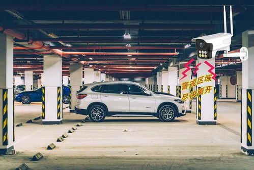 怎样测试车牌号好不好：车牌号测试全攻略，从法律到风水，教你如何挑选吉利的车牌号