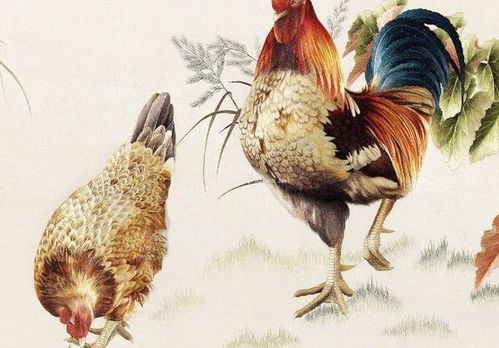 属鸡的属相婚配表：属鸡人最佳婚配属相指南，性格互补与缘分分析