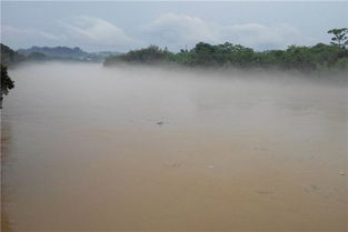 梦见洪水是什么意思 周公解梦网：梦见洪水是什么意思？周公解梦网告诉你答案