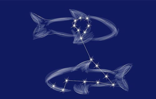 挽回双鱼男的致命绝招：解锁双鱼男的心锁，四步温柔陷阱让他主动回头