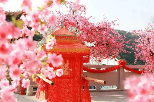 重庆姻缘树在哪儿卖：重庆姻缘树哪里买？浪漫婚庆植物选购指南