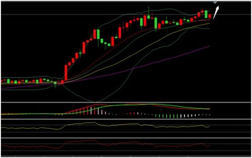 每日星座运势查询2020：2020每日星座运势查询指南，精准预测你的星途与情感