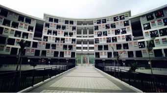 广东岭南职业学院好不好（广东岭南职业技术学院含金量高吗）