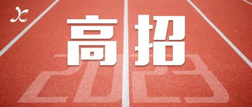 贵州招生网官网入口（贵州招生网官网入口2024高考报名）