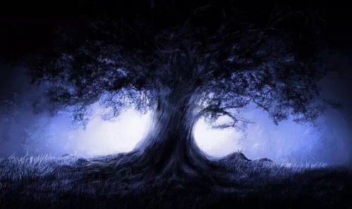 梦见下小雨是什么兆头:梦见下小雨是什么兆头?解密梦境中的雨意象