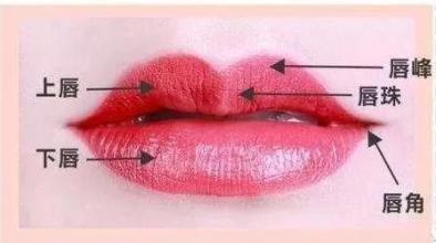 嘴唇整形一般收费大概是多少:嘴唇整形价格大揭秘,了解费用构成与影响因素