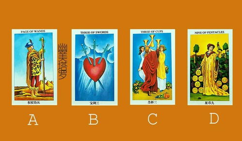 塔罗测试姻缘在哪里测:塔罗测试姻缘,神秘力量还是命运指引?探索塔罗占卜的正确方式