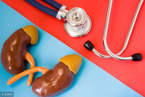 慢性肾炎:认识慢性肾炎,远离肾病困扰—专家提醒,早期症状不明显,需定期检查