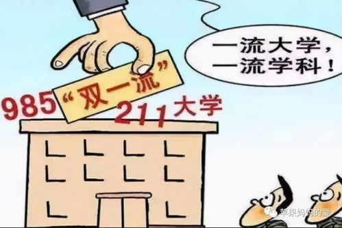 学金融我后悔了（学金融很痛苦）