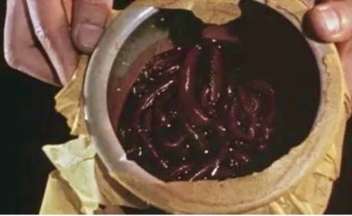 血竭到底有多可怕：血竭到底有多可怕？揭开这种致命香料的神秘面纱