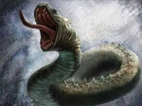 梦见一条大蟒蛇被自己打死了：梦中击杀巨蟒，一场潜意识的挣扎与释放