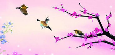 戊戌的女命姻缘不好吗:戊戌的女命姻缘不好吗?土性过重的命理与情感调和之道