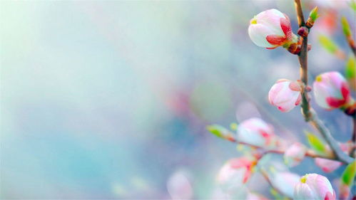 十二星座温柔排名:十二星座温柔度大揭秘,第一名竟然是隐藏的暖心王?温柔星盘全解析!