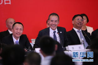 瑞森生活服务(01922.HK)：朱力获委任为董事会主席