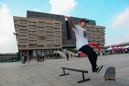 淄博职业学院分数线（淄博职业学院录取）