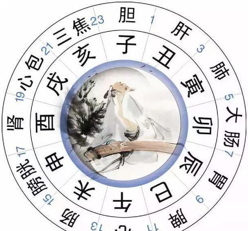 十二星座时间顺序表：十二星座时间顺序表，从春分到冬至的星象密码