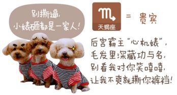 十二星座的脾气：十二星座脾气说明书，你的星座是如何发飙的？