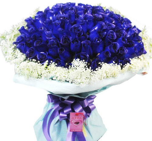 巨蟹座一辈子纠缠的星座:巨蟹座一生纠缠的星座,温柔与执念交织的星座关系图谱