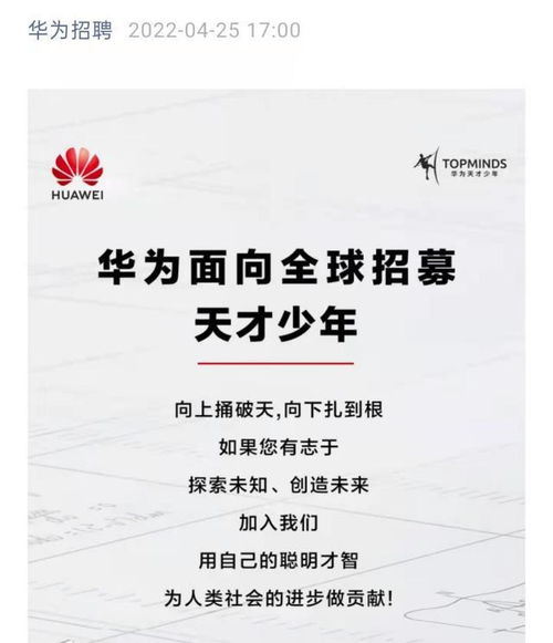 低学历男孩学啥技术(低学历男孩学啥技术工资高)